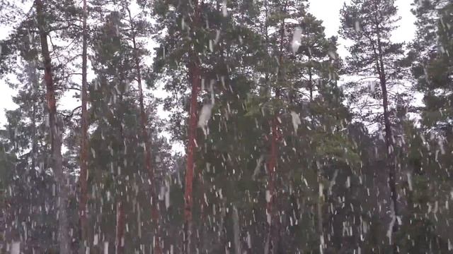 +2 snow смотреть онлайн