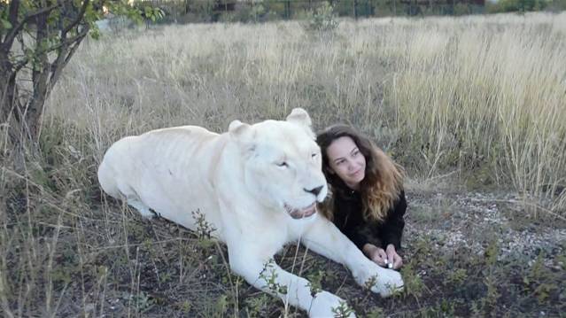 Герда принимает гостей ! смотреть онлайн