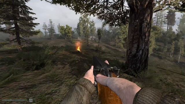 What was that ?? Hunting Flying Elephant Like Mutant in Stalker Anomaly. смотреть онлайн