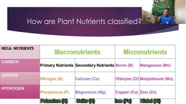 Plant nutrition basics | Mega, Macro and Micro nutrients