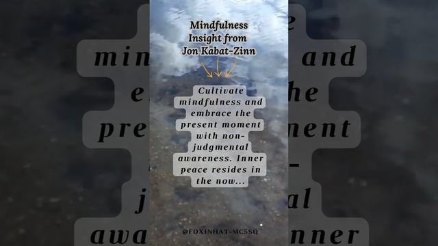 Mindfulness Insight from Jon Kabat-Zinn смотреть онлайн