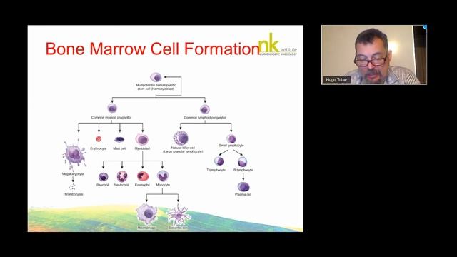 Hugo Tobar - Immunität-Balance durch das Chakra- und Meridiansystem смотреть онлайн