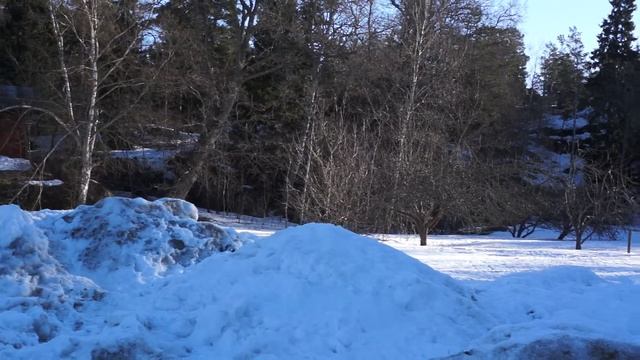 real spring) смотреть онлайн