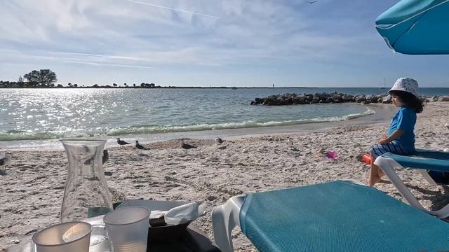Best Beaches, Clearwater Beach, Florida, Shephard's Beach Resort смотреть онлайн