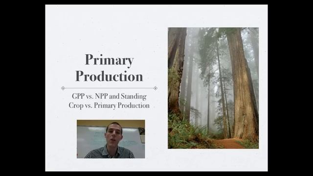 Ecosystem Productivity and Limiting Factors смотреть онлайн