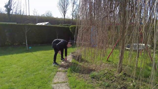 Руки чешутся, большие планы на огород / Куча семян на этот год. смотреть онлайн
