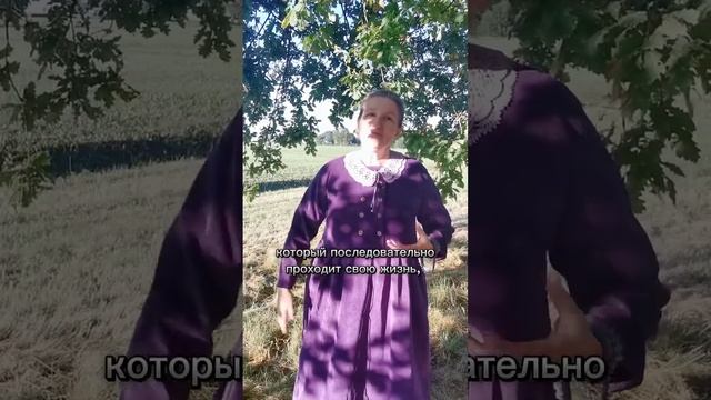 Этапы развития делового человека смотреть онлайн