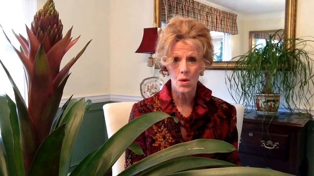 91 Pet Reincarnation and Soul pet questions answered by Brent Atwater book "Animal Reincarnation" смотреть онлайн