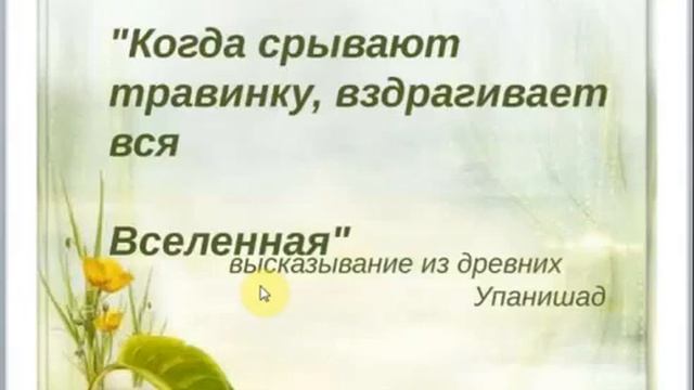 "Подсознание может ВСЁ", ч. 1. Виктория Оверко. 09 11 14 смотреть онлайн