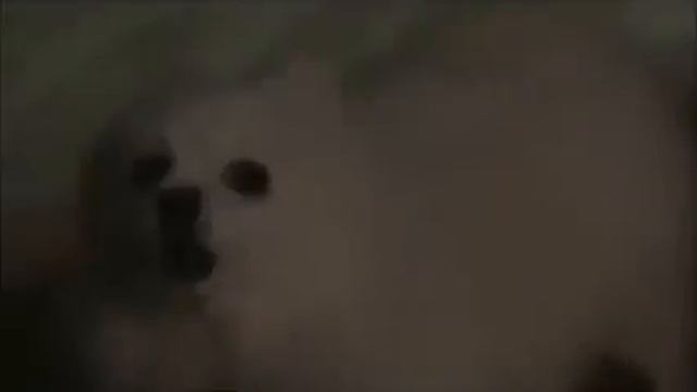 Hotline Miami (Animal cover) смотреть онлайн