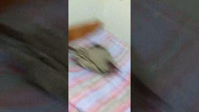 У парней была жопа... смотреть онлайн