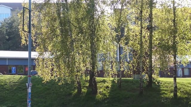 crow. just crow смотреть онлайн