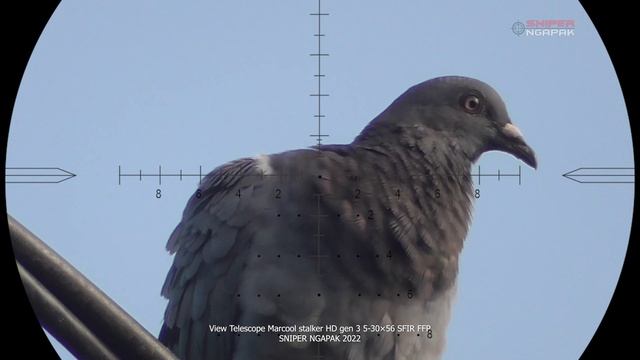 View Reticle Marcool Stalker HD Gen 3 5-30×56 SFIR FFP смотреть онлайн