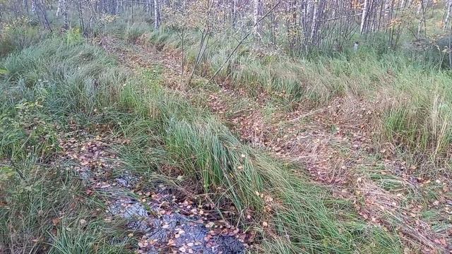 Утопил мотобуксировщик смотреть онлайн