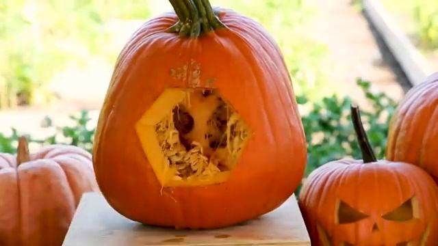 Halloween_traditions_and_celebrations_ESLESOL_A1_A2_Educational смотреть онлайн