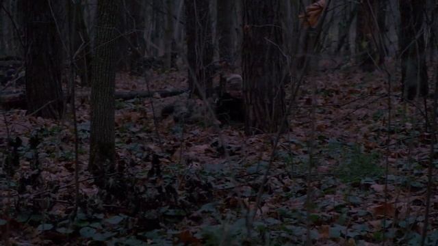 Работа инструктора Орёл Курск Белгород. Курс боевой подготовки смотреть онлайн