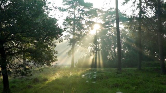 Энергоинформационный гипноз беседа №1 смотреть онлайн