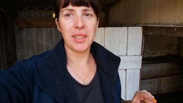 ПЕРЕЕЗД НА ЮГ. КАКИЕ У НАС ПЛАНЫ? смотреть онлайн