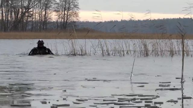 Птичий лед (звуковой этюд). смотреть онлайн