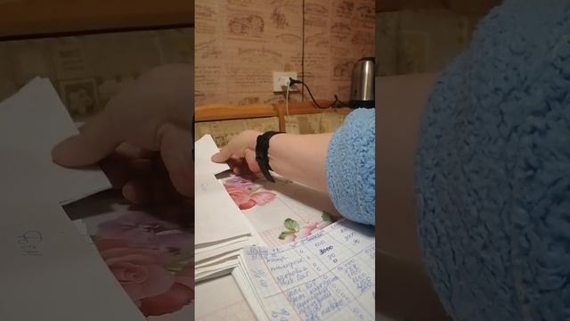 Первое распределение по конвертам. #cashenvelopes Март на 31900 рублей #деньги #распределениеденег смотреть онлайн