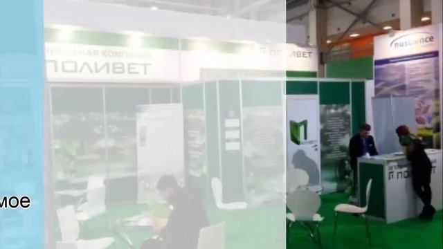 Expo-store - услуги по организации участия в выставке смотреть онлайн
