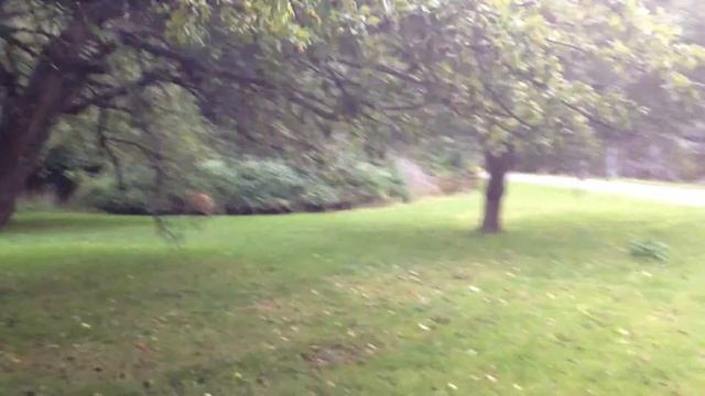 bambi in the garden-1 смотреть онлайн