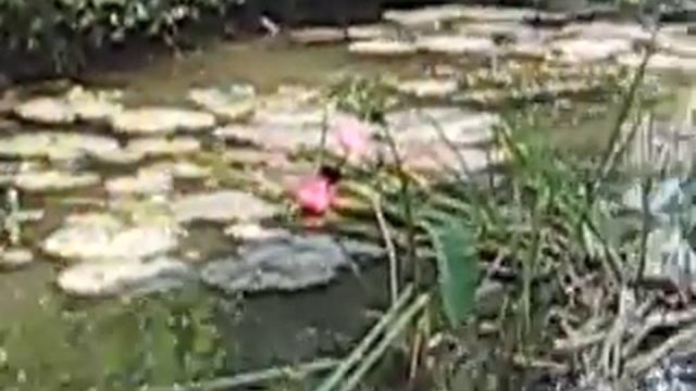 MVI 0557 смотреть онлайн