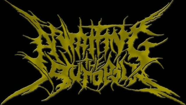 Brutal Death Metal And Goregrind Compilation Part 12
