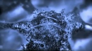 Влияние музыки на воду: облагораживающее и разрушающее воздействие звуков.