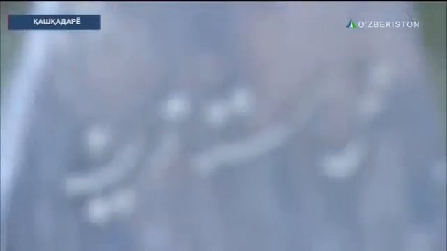 Devor orasidan topilgan Quroni Karim смотреть онлайн