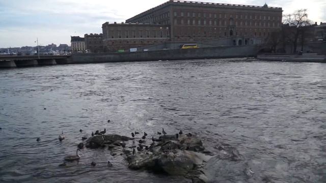 MAH01398 смотреть онлайн