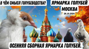 Голубеводы! в чём смысл голубеводства? Сборная осенняя ярмарка голубей Москва. #сезонконтентаRUTUBE