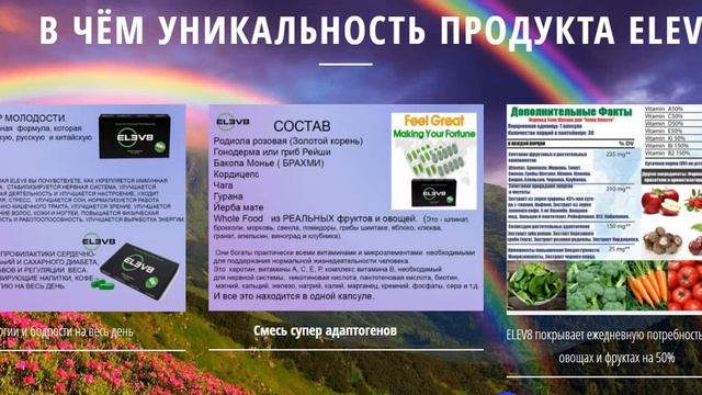 В двух словах об ELEV8. Академик Андреева Н.И. (3 мин) смотреть онлайн