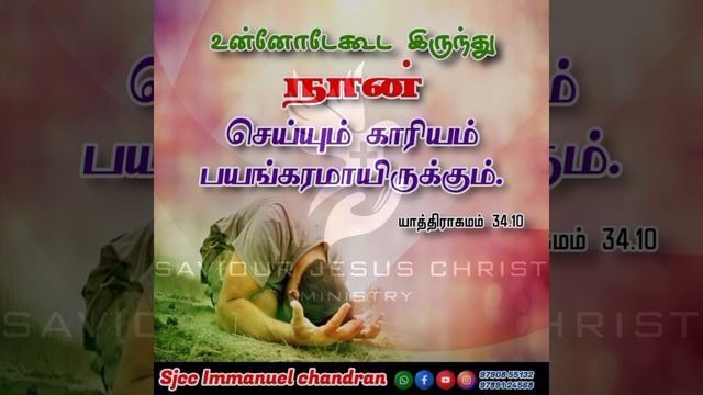 இன்றைய நாளுக்கான தேவ வசனம்29 08 2020 смотреть онлайн