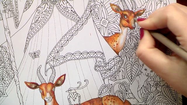Colouring 'Zemlja snova' Forest Enchantress. Part 1 / Colored pencils / Раскраска-антистресс смотреть онлайн