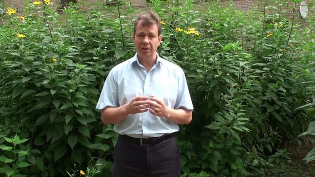 Приглашение на секцию франчайзинга