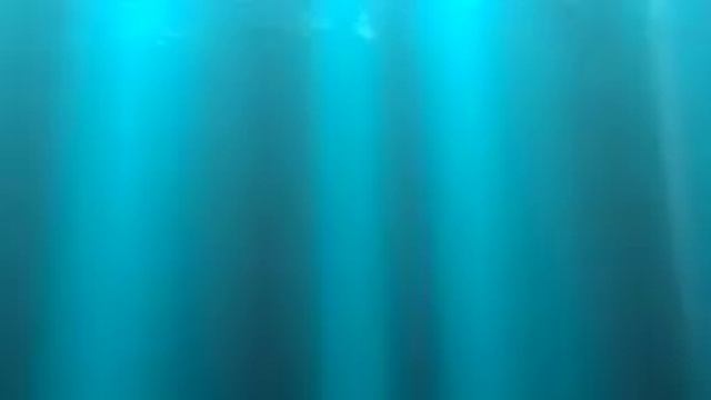 3 TRUE SCARY CRUISE SHIP HORROR STORIES смотреть онлайн