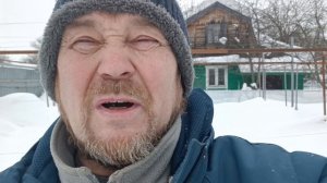 Когда же укоренять черенки винограда?