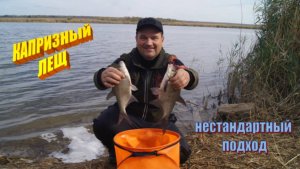 РЫБАЛКА на капризного ОКТЯБРЬСКОГО ЛЕЩА. Нестандартный подход и мини-бойлы «Donbass Fishing».