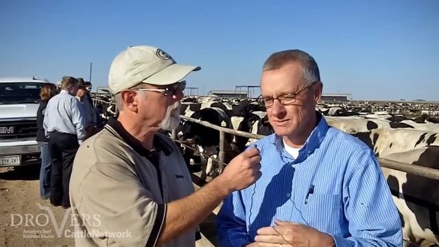 Turning Holsteins into finished beef steers смотреть онлайн