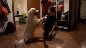 Вовчик и Нортон