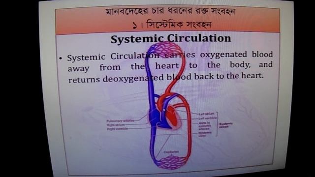 Biology 2nd paper Class 8 смотреть онлайн