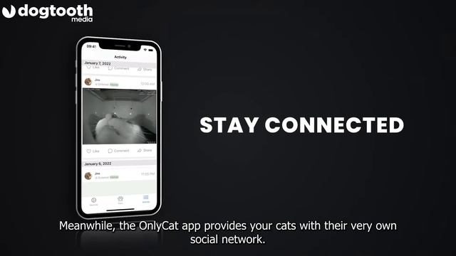 Genius Catflap Invention Stops Moggies Bringing Home Prey || Dogtooth Media смотреть онлайн
