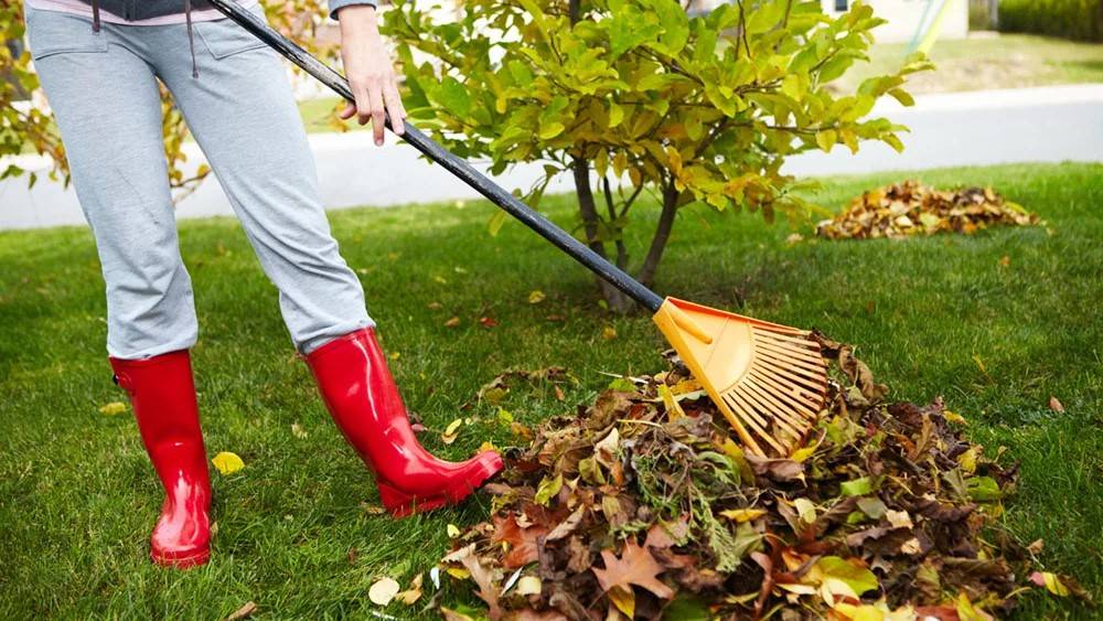 Осенний субботник в городском дворе. смотреть онлайн
