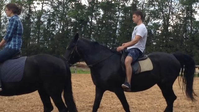 Прогулка на лошадях смотреть онлайн