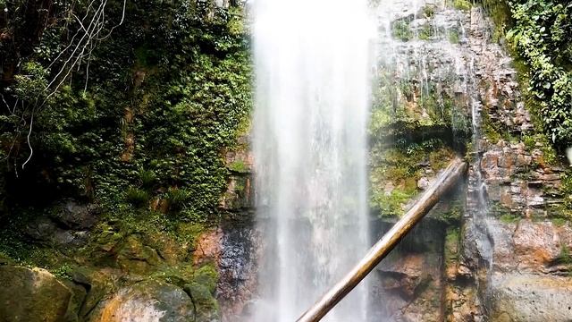 Звуки Гармонии: Расслабляющая Музыка для Души //// Harmony Sounds: Relaxing Music for the Soul смотреть онлайн