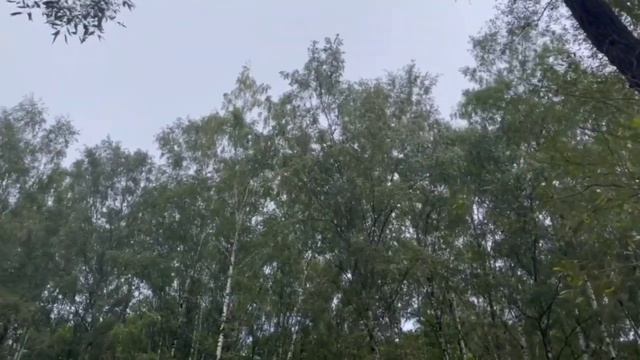 Регрессивный гипноз. Самостоятельное погружение смотреть онлайн