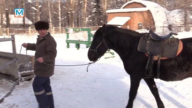 Станьте опекуном животных!