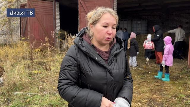 клуб Горница в приюте для животных смотреть онлайн