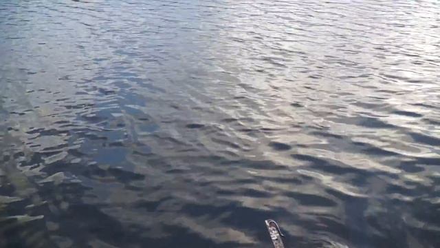 Långsjön Tyresö смотреть онлайн